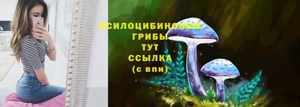 первитин Белокуриха
