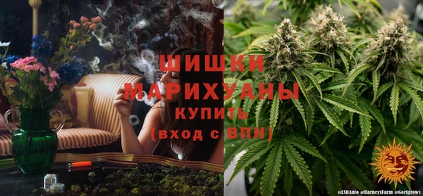 первитин Белокуриха