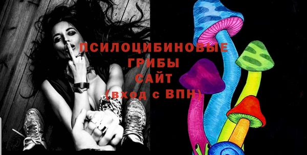 первитин Белокуриха