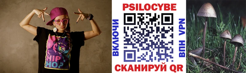 Псилоцибиновые грибы Psilocybe магазин наркотиков Бутурлиновка