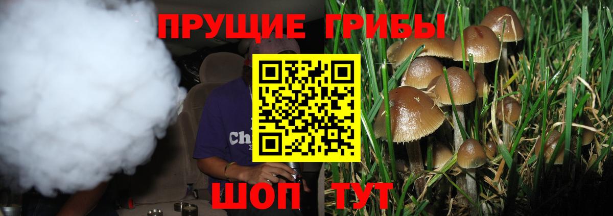 Галлюциногенные грибы GOLDEN TEACHER Бутурлиновка