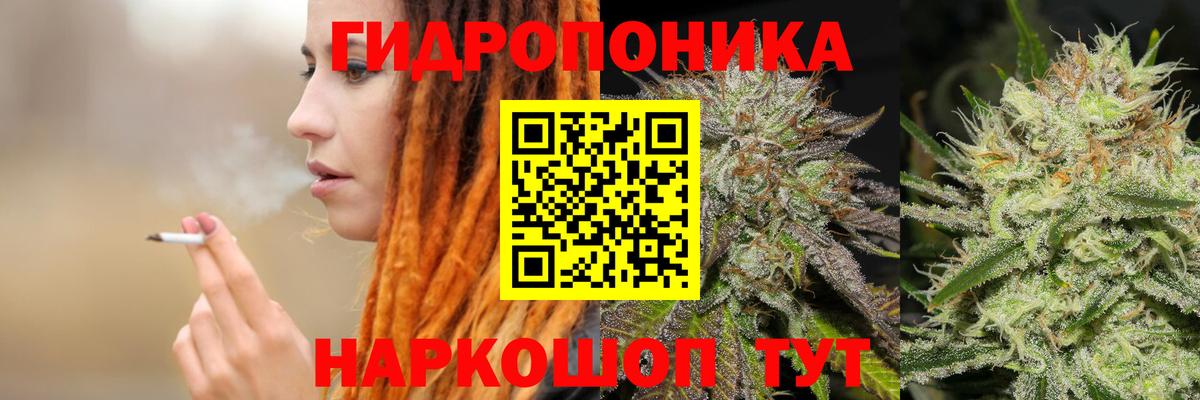 Шишки марихуана семена Бутурлиновка